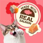 Purina Friskies Natural Cat Treats Party Mix Natural Yums With Real Salmon 20 Oz