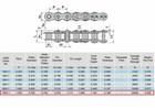  100h Heavy Duty Roller Chain 10 Feet With 1 Connecting Link