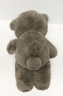Walmart Brown Bear  14  Plush Vintage Stuffed Animal