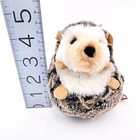 Douglas Spunky Hedgehog Plush Toy Stuffed Animal Cuddle Toys Hedge Hog 2022