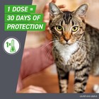 Frontline Plus Flea   Tick Treatment For Cats 6 Doses  8  Weeks  Fast Shipping