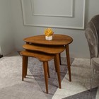Solid Nesting Table Set Of 3  Birch Mid Century Pebble Tables With Woo