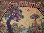 Official Emek Sublime Poster Redondo Beach Ca 5 3 2025 Mint Concert Art