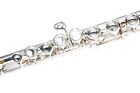 Flute Wisemann Dfl-395  C Key  16hole  Silver Plated Finish  With Canvas Case