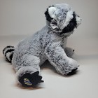 Ganz Webkinz Racoon Hm143 No Code -retired