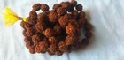 10 Mm 5 Mukhi Rudraksha Face Rudraksh Mala Nepal 109 Beads Prayer Yoga-energized
