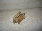 Steiff Rocky Goat  Tags   Button  1960 s Short Mohair  Excellent Condition