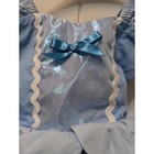 Princess Blue Girls Dress Tulle Skirt Sleeveless Size 12-24 Months