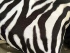 Zebra Throw Pillow For Living Room Decoration Bedroom Decor For Modern House