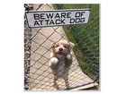Beware Of Attack Dog Sign