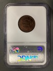 1855 Braided Hair Half Cent - Ngc Ms64 Rb