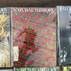 Natural History Magazine Lot 1978 Complete Year Lot Of 12 Issues All Bagged Vtg