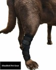 Dog Brace  Dog Rear Leg Hock Joint Knee Brace  With Extra Metal Spring Support 