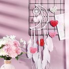 24 Pieces Valentine s Day Heart Shaped Rattan Balls Pink  White  Red  Rose Red