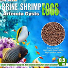 Brine Shrimp Eggs For Aquatic Foods Baby   Fry Foods The Popular 90  Hatch Gsl B