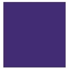 6 X Jacquard Procion Mx Deep Purple Fiber Reactive Dye For Fabric Clothing 2 3