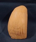   2 Whale Tooth  imitation Replica  For Display  Scrimshaw  Engraving 