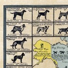 1933 Dog Map Of The World - Vintage Pictorial Dog Map Art Print - 24x36