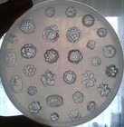 Silicone Mold - 29 Tiny Flowers Set - Food Use  Resin  Fimo  Polymer Clay  Icin