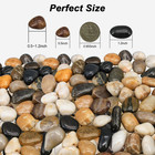 River Rocks  Decorative Ornamental Pebbles garden Landscaping Stones gravel Fill