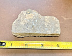 Silver Ore Slab Rough - This Is Very High Grade Silver Ore  50     