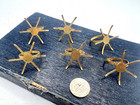 6 Adjustable Ring Blanks Gold Bendable Prongs Settings Bezels Diy Jewelry Lot