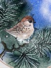 Vtg Norman Brumm Enamel On Copper 7  Plate Baby Robin