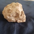 4  T X 3  W X 5  L Resin Collectibe Day Of The Dead Decor Skulls On Skulls
