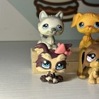 Littlest Pet Shop Lot Of 6 Dog Lps -  1473   665   688   69   21     112