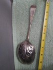Vintage C Rogers   Bros  A1 Serving Spoon 9 x 3   Silver Plate