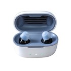 Rechargeable Hearing Aids With Noise Cancelling Otc Invisible In The Ear Digital