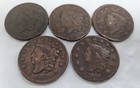 Lot Of 5 Lg Cents 18   1816  1830  1832 1833 Coronet Head braided Hair Cent S028
