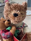 Story Time Bear   twas The Night Before Christmas  2006 Avon Animated Works