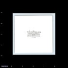 Square Color Photo Football Stadium Crowd In Bleachers 1956