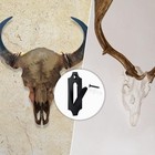 4-pack European Skull Hanger For Deer Antler Wall Mount