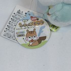 Amuse Fusappo Nuts Squirrel Plush Keychain Mint Green Mascot Bag Charm Amufun