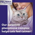 3 X 30 Day  Feliway Optimum Cat Enhanced Calming Pheromone 48ml 3 Bottles set