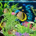 30pcs Aquarium Plants  Green Fish Tank Artificial Multicoloured