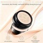 Foundation For Mature Skin     Warm Tone Cc Air Cushion Foundation  Full Covera   
