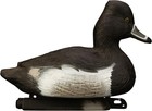 6 Pack Standard Ringneck Duck Hunting Decoys Foam-filled