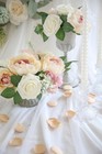300pcs Rose Petals Champagne Faux Silk Flower Petals For Wedding Flower Girl    