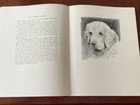 Rare Large Illus Dog Book  all Dogs  Francis Wardle 1st 1935 Deerhound Terrier