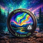     3 Year Sobriety Coin Aa Chip Medallion Alcoholics Anonymous Three Years Sober