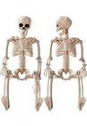 4 Pack 16  Halloween Skeleton Decorations Full Body Posable Skeletons  Movable