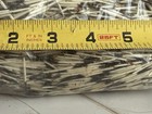 North American Porcupine Quills From Wyoming  6 0 Oz Unwashed