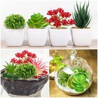 16 Pcs Artificial Succulents Plants Mini Fake Succulents For Home Garden