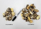 Raw Septarian Crystals Bulk Rough Natural Stones For Tumbling Crystal Healing
