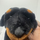 Animal Alley Black Brown Dog Plush Stuffed Animal 13  2000 Rottweiler Toys R Us