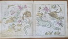Vtg Antique 1835 The Geography Of The Heavens Atlas Map Book Burritt Astronomy 