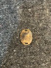 Original Ww2 Japanese Brass Dog Tag